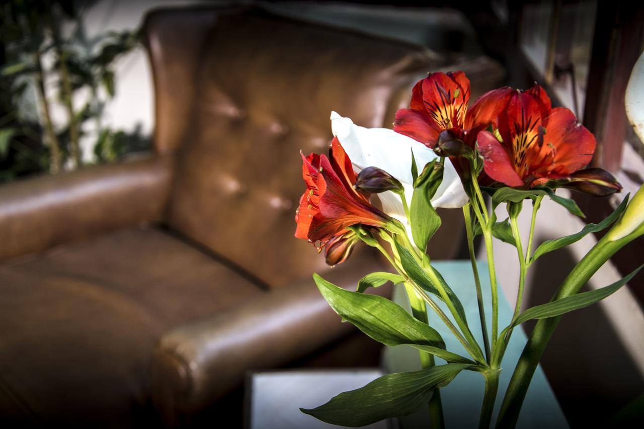 ラパス York Vintage Bed & Breakfast エクステリア 写真